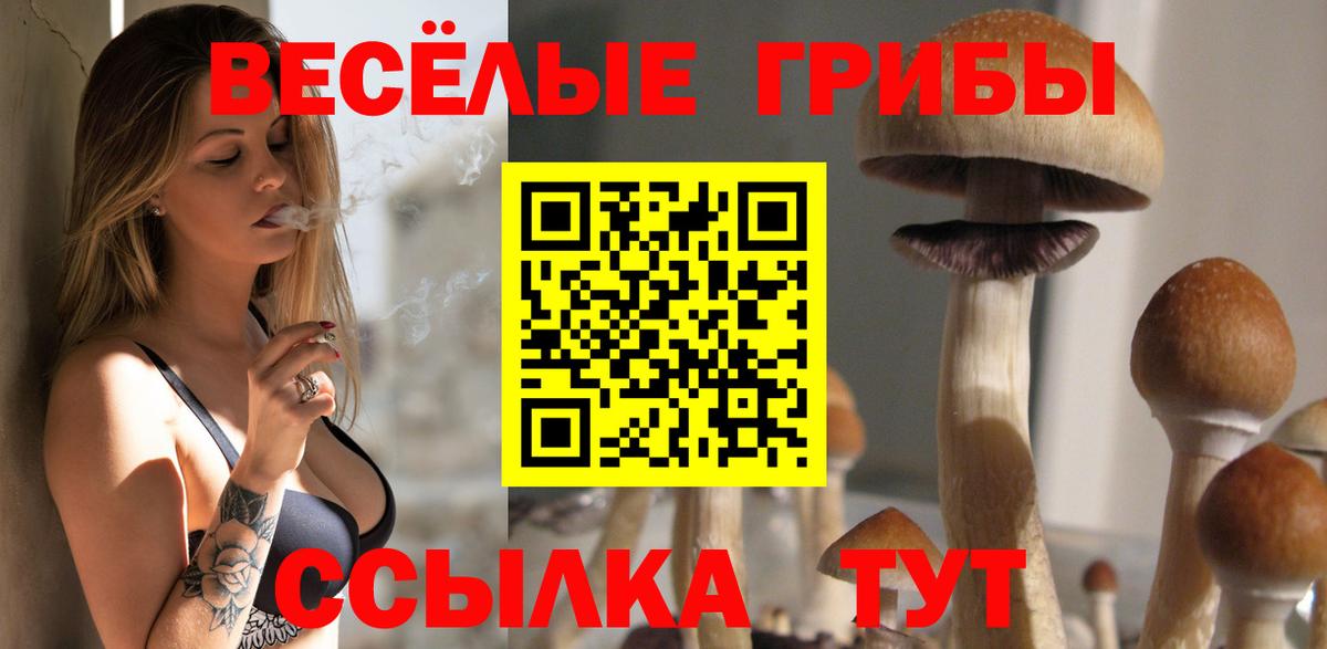 Псилоцибиновые грибы мицелий Мурманск